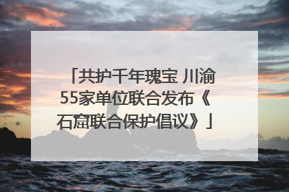 共护千年瑰宝 川渝55家单位联合发布《石窟联合保护倡议》