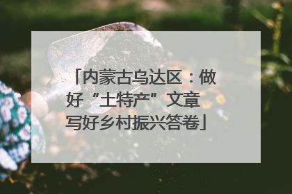 内蒙古乌达区：做好“土特产”文章 写好乡村振兴答卷