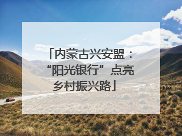 内蒙古兴安盟：“阳光银行”点亮乡村振兴路