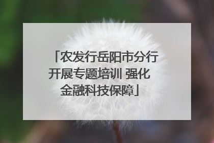 农发行岳阳市分行开展专题培训 强化金融科技保障