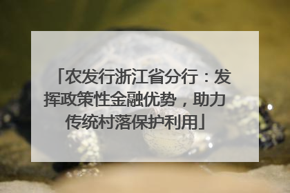 农发行浙江省分行：发挥政策性金融优势，助力传统村落保护利用