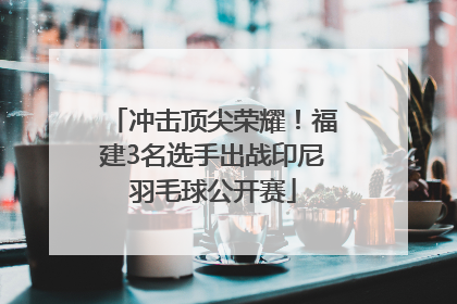 冲击顶尖荣耀！福建3名选手出战印尼羽毛球公开赛