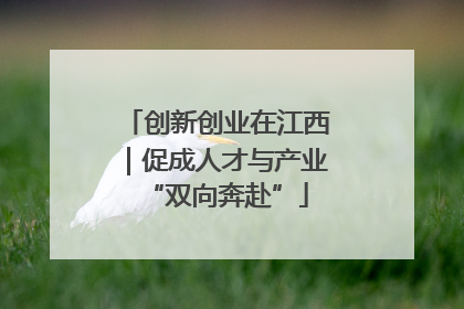 创新创业在江西｜促成人才与产业“双向奔赴”