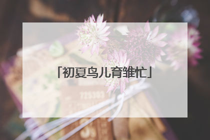 初夏鸟儿育雏忙