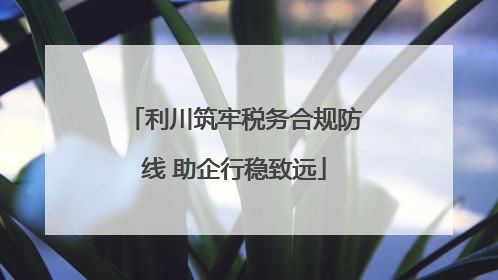 利川筑牢税务合规防线 助企行稳致远