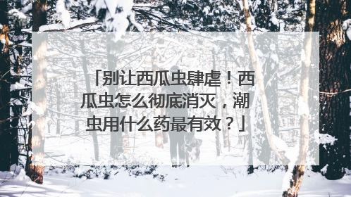 别让西瓜虫肆虐！西瓜虫怎么彻底消灭，潮虫用什么药最有效？