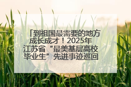 到祖国最需要的地方成长成才！2025年江苏省“最美基层高校毕业生”先进事迹巡回宣讲会在宁启动