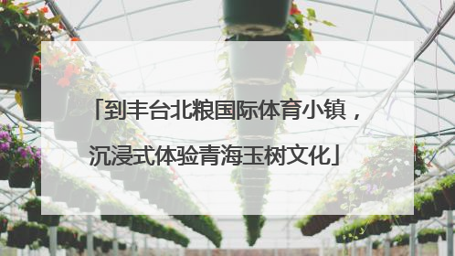到丰台北粮国际体育小镇，沉浸式体验青海玉树文化