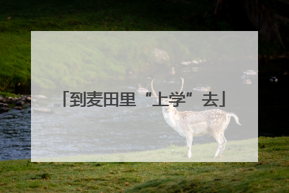 到麦田里“上学”去