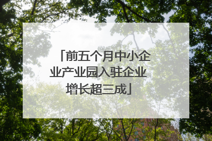 前五个月中小企业产业园入驻企业增长超三成