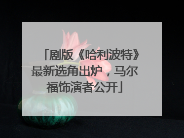 剧版《哈利波特》最新选角出炉，马尔福饰演者公开