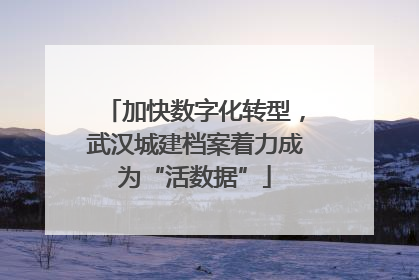 加快数字化转型，武汉城建档案着力成为“活数据”