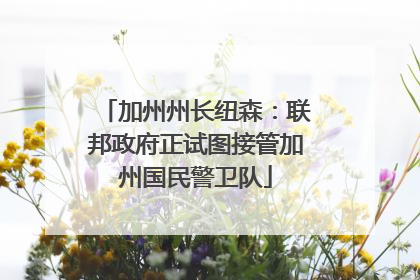 加州州长纽森：联邦政府正试图接管加州国民警卫队