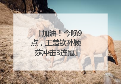 加油！今晚9点，王楚钦孙颖莎冲击3连冠