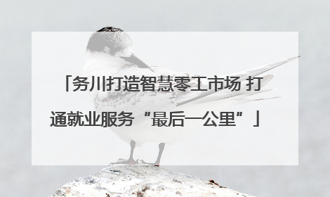务川打造智慧零工市场 打通就业服务“最后一公里”