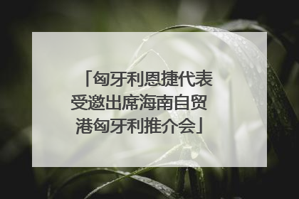 匈牙利恩捷代表受邀出席海南自贸港匈牙利推介会