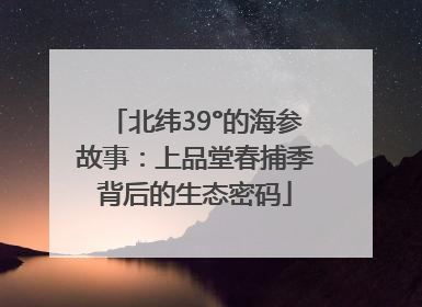 北纬39°的海参故事：上品堂春捕季背后的生态密码
