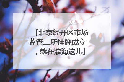 北京经开区市场监管二所挂牌成立，就在瀛海这儿