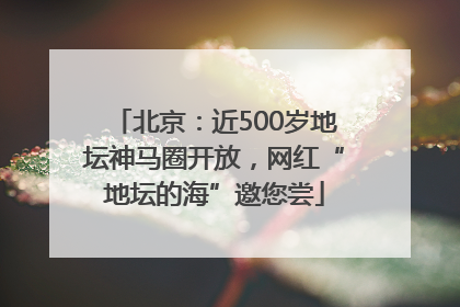 北京：近500岁地坛神马圈开放，网红“地坛的海”邀您尝