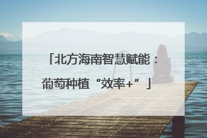 北方海南智慧赋能：葡萄种植“效率+”