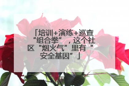 培训+演练+巡查“组合拳”，这个社区“烟火气”里有“安全基因”