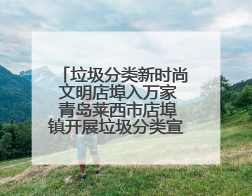 垃圾分类新时尚 文明店埠入万家 青岛莱西市店埠镇开展垃圾分类宣传活动