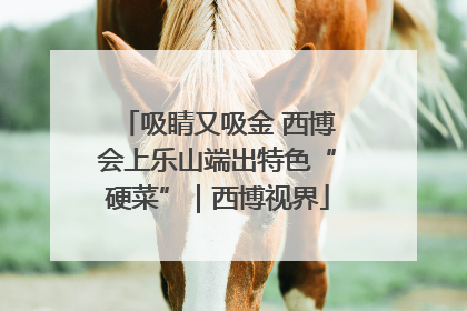 吸睛又吸金 西博会上乐山端出特色“硬菜”｜西博视界