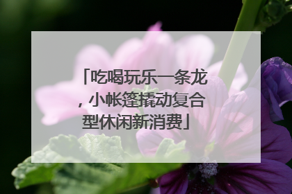 吃喝玩乐一条龙，小帐篷撬动复合型休闲新消费