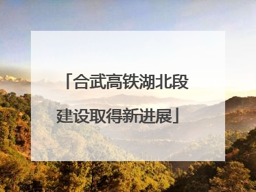 合武高铁湖北段建设取得新进展
