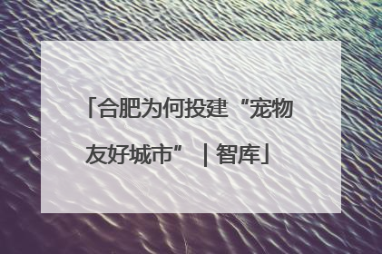 合肥为何投建“宠物友好城市”｜智库