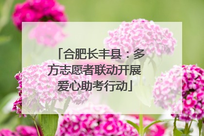 合肥长丰县：多方志愿者联动开展爱心助考行动
