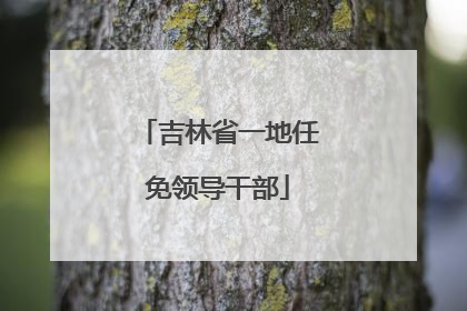 吉林省一地任免领导干部