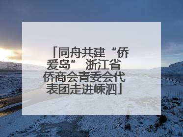 同舟共建“侨爱岛” 浙江省侨商会青委会代表团走进嵊泗