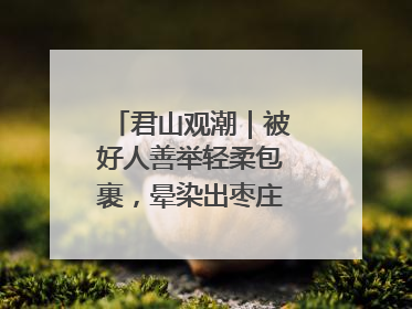 君山观潮｜被好人善举轻柔包裹，晕染出枣庄的温暖底色