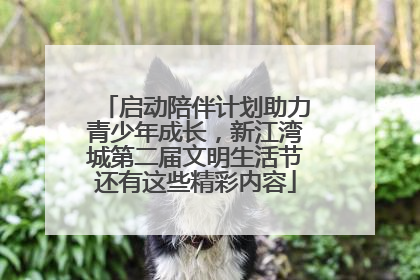 启动陪伴计划助力青少年成长，新江湾城第二届文明生活节还有这些精彩内容