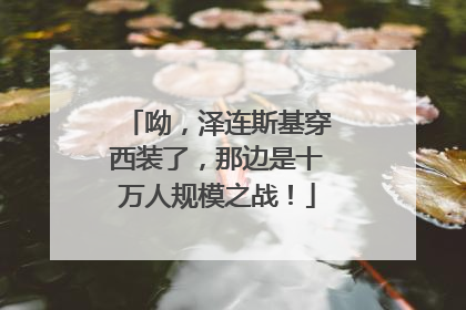 呦，泽连斯基穿西装了，那边是十万人规模之战！
