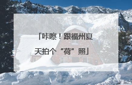 咔嚓！跟福州夏天拍个“荷”照