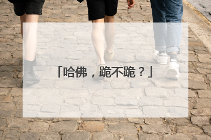 哈佛，跪不跪？