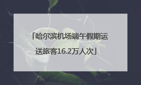 哈尔滨机场端午假期运送旅客16.2万人次