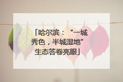 哈尔滨：“一城秀色，半城湿地”生态答卷亮眼