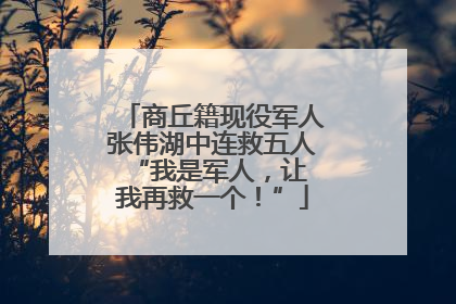 商丘籍现役军人张伟湖中连救五人 “我是军人，让我再救一个！”