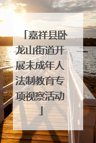 嘉祥县卧龙山街道开展未成年人法制教育专项视察活动