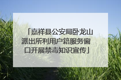 嘉祥县公安局卧龙山派出所利用户籍服务窗口开展禁毒知识宣传