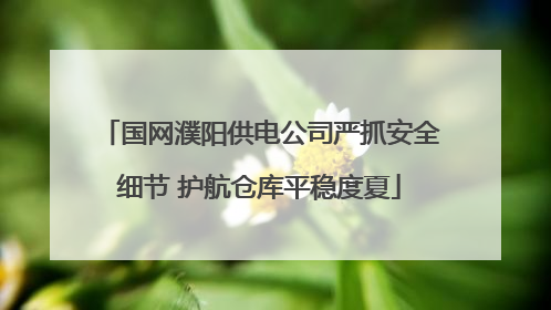 国网濮阳供电公司严抓安全细节 护航仓库平稳度夏