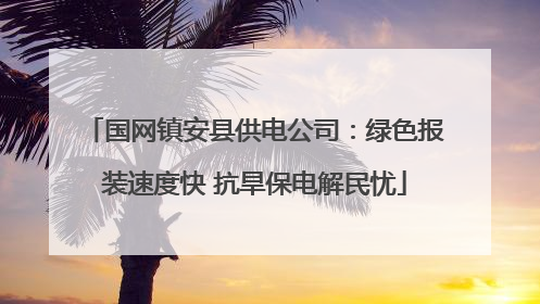 国网镇安县供电公司：绿色报装速度快 抗旱保电解民忧