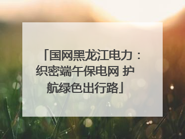 国网黑龙江电力：织密端午保电网 护航绿色出行路