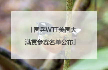 国乒WTT美国大满贯参赛名单公布