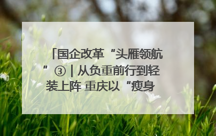 国企改革“头雁领航”③｜从负重前行到轻装上阵 重庆以“瘦身”谋“健体”