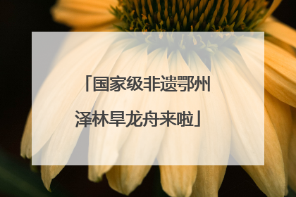 国家级非遗鄂州泽林旱龙舟来啦