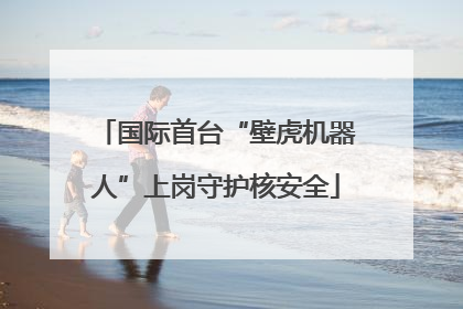 国际首台“壁虎机器人”上岗守护核安全
